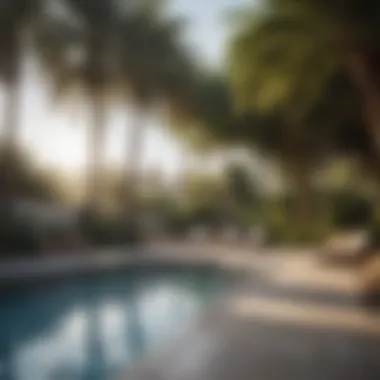 Natural shade provided by palm trees in a tranquil poolside environment