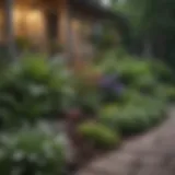 A beautifully designed front yard showcasing diverse plant species and decorative elements.