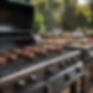 Diverse BBQ Grills on Display A vibrant display of various barbecue grills showcasing top brands