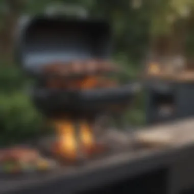 Innovative BBQ Design Revolutionizing Grilling An innovative barbecue design that stands out in the market
