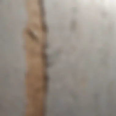 Close-up view of cosmetic cracks on a painted wall