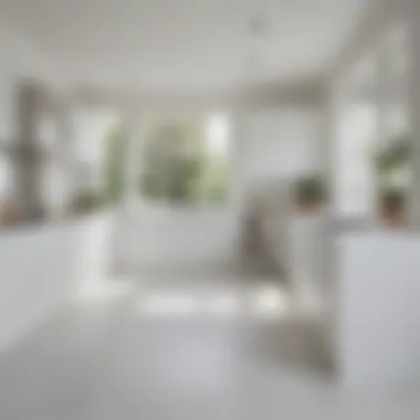 Contemporary white kitchen with matching white floors