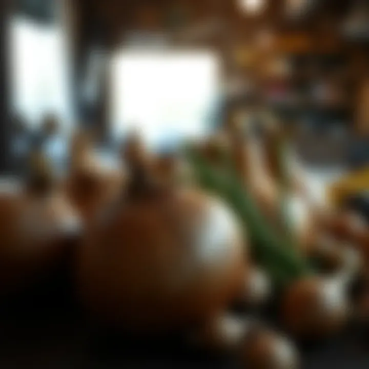 Notable Exploring the Benefits and Availability of Large Onion Sets for Sale