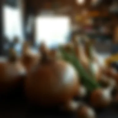 Notable Exploring the Benefits and Availability of Large Onion Sets for Sale Notable Exploring the Benefits and Availability of Large Onion Sets for Sale
