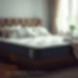 Exploring the Benefits and Features of At Home Mattress Protectors Introduction