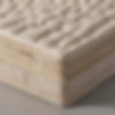 An illustration of a birch natural mattress highlighting its layers of latex and support.