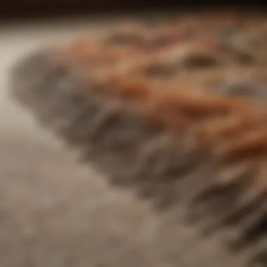 Close-up of Rug Fibers Close-up view of rug fibers highlighting texture and quality
