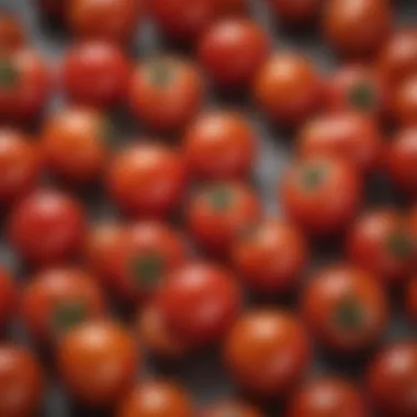 Close-up of freshly harvested cherry tomatoes ready for culinary use