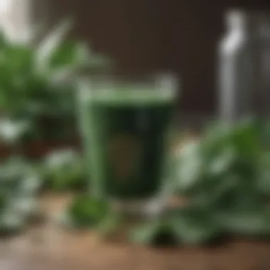 Nutrient-Rich Spinach Juice Freshly extracted spinach juice in a glass with spinach leaves