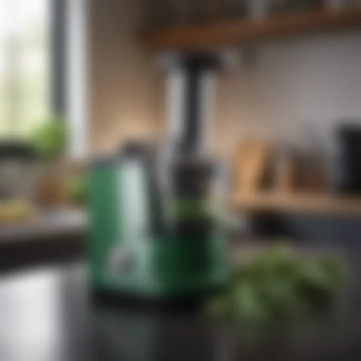 A high-quality spinach juicer on a kitchen countertop