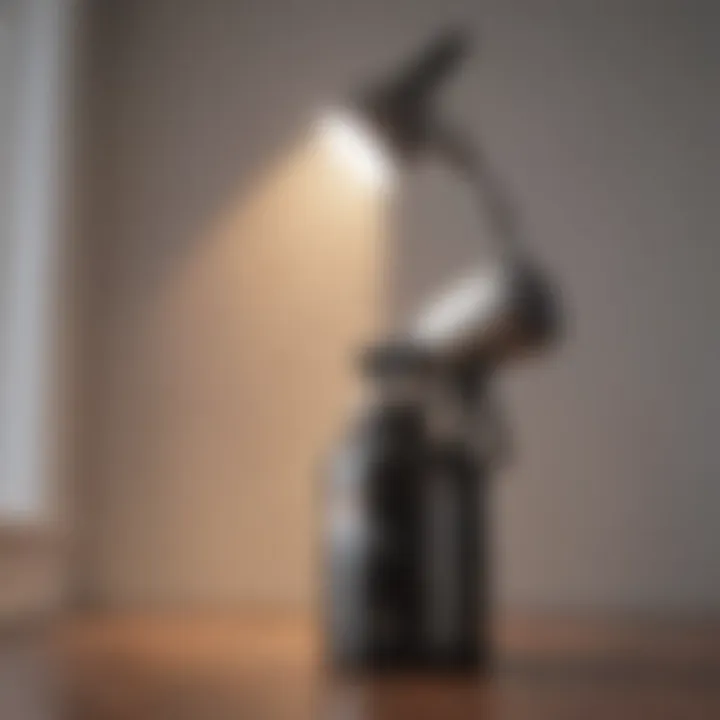 Interior design project using a paint sprayer
