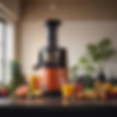 Nourishing Juice Extracted from Fresh Ingredients Freshly made juice from a centrifugal juicer