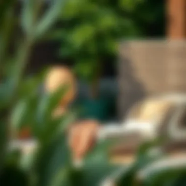 Notable Exploring the Gymax 4 Piece Rattan: Design, Functionality, and Appeal