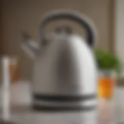 Elegant design of Macy's electric tea kettle showcasing modern aesthetics