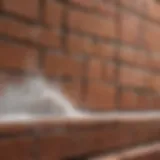 Close-up of salt damage on a brick wall