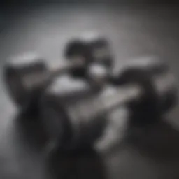 Close-up of 10-pound dumbbells on a gym floor