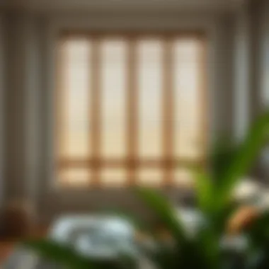 Notable Exploring Venetian Blinds for the Living Room