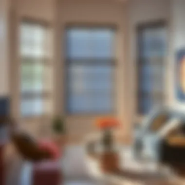 Exploring Venetian Blinds for the Living Room Summary Exploring Venetian Blinds for the Living Room Summary