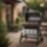Sleek design of Weber Compact Gas Grill showcasing its modern aesthetics