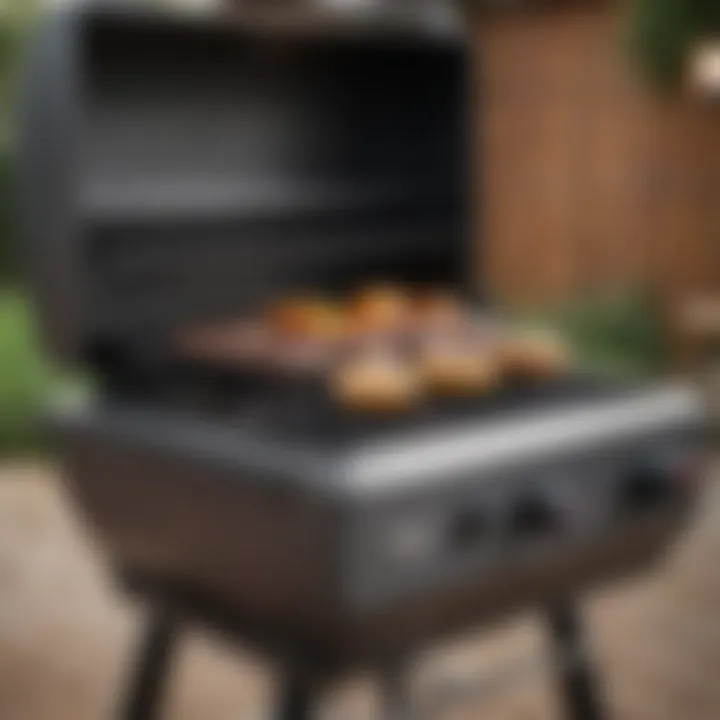 Highlighting the features and controls of the Weber Compact Gas Grill
