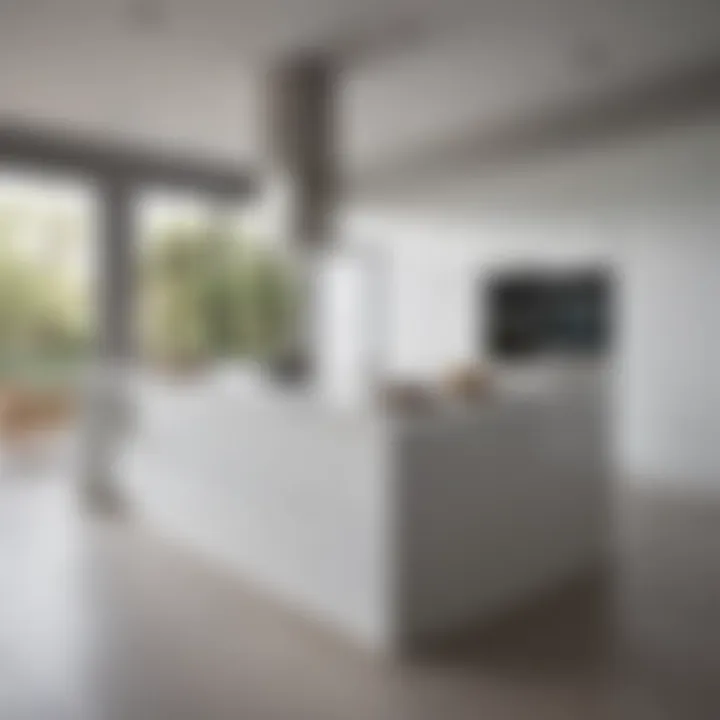 Sleek and minimalist white kitchen showcasing high-end appliances.