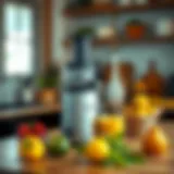 Finding the Best and Affordable Juicer: An In-Depth Exploration Introduction
