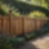 A stylish wooden fence surrounding a garden