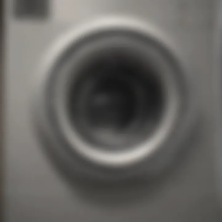 Common dryer vent obstructions