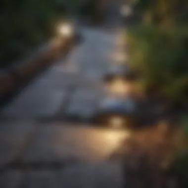 Modern solar-powered lights illuminating a stone walkway