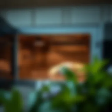 Notable Methods for Cleaning the Inside of a Microwave