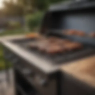 Sleek Modern Barbecue Grill A sleek modern barbecue grill with advanced features.