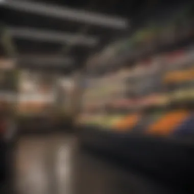 Market Positioning and Evolution Market positioning and evolution of Nequare and Dyson