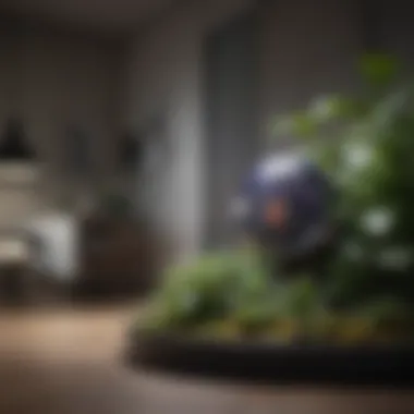 User experience insights for Nequare and Dyson