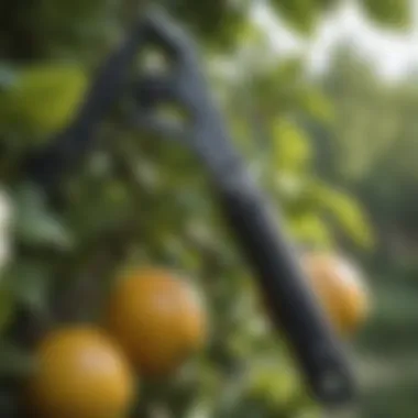 Pruning Shears in Action A close-up of pruning shears cutting a branch on a fruit tree