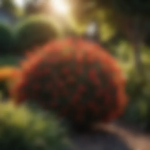 Vibrant part sun shrubs in a lush garden setting