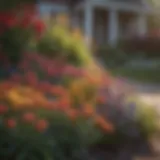 Colorful array of perennial flowers in a front yard