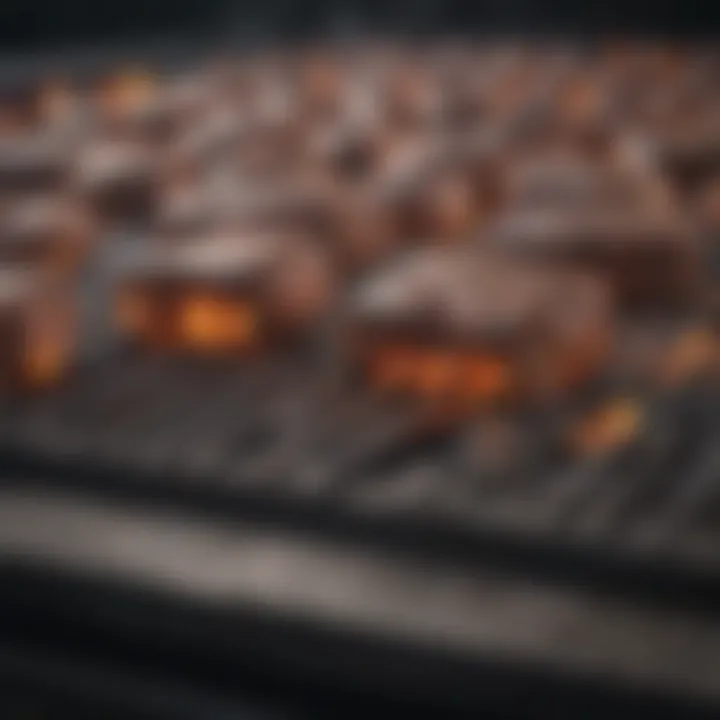 A close-up of high-quality grill materials and design.