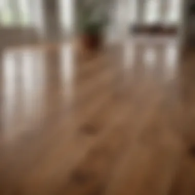 Stunning Revitalized Wood Flooring A beautifully restored wood floor showcasing its natural grain and luster.