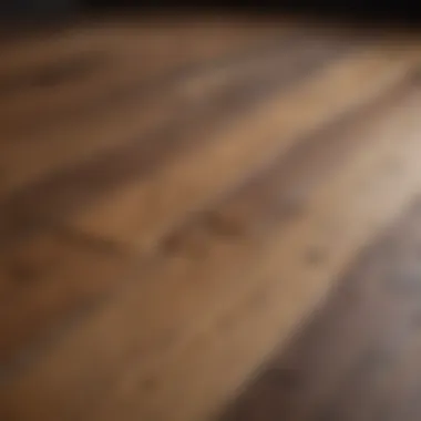 Applying Rejuvenating Oils to Wood Floors A close-up of wood floor revitalization, illustrating the application of rejuvenating oils.