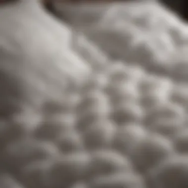 Luxurious fluffy duvet insert showcasing premium materials