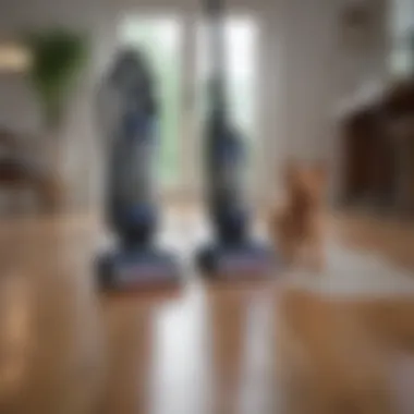 Top Brands for Pet Owners Comparison of top cordless vacuum brands for pet owners