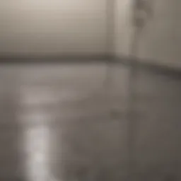 Moisture-resistant paint options for shower floors