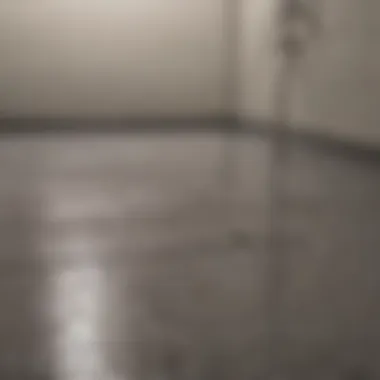 Moisture-resistant paint options for shower floors
