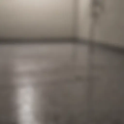 Moisture-resistant paint options for shower floors