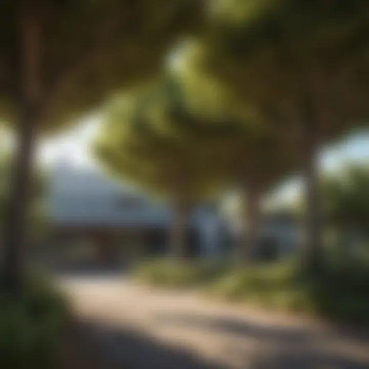 Selecting the Ideal Trees for Zone 4: A Comprehensive Guide Introduction