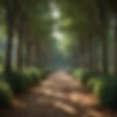 Selecting the Ideal Trees for Zone 4: A Comprehensive Guide Summary Selecting the Ideal Trees for Zone 4: A Comprehensive Guide Summary