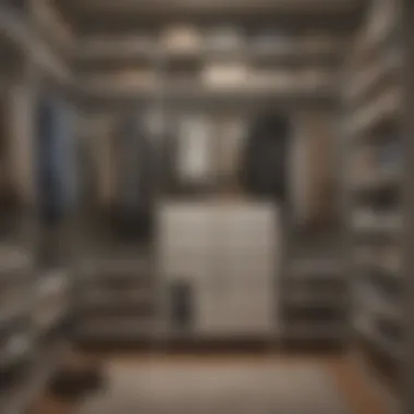 Organized closet with labeled bins