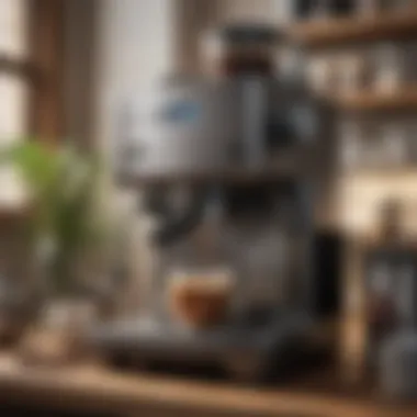 Essential Maintenance for Coffee Makers Maintenance tools and tips for coffee makers to ensure longevity