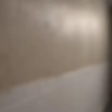 Demonstration of cleaning technique on a painted wall