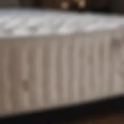 Luxurious mattress showcasing premium materials
